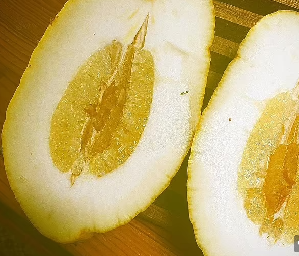 Phần ruột bên trong của quả chanh khổng lồ. Mọi người choáng váng khi thấy quả chanh to như vậy. Ảnh: DM