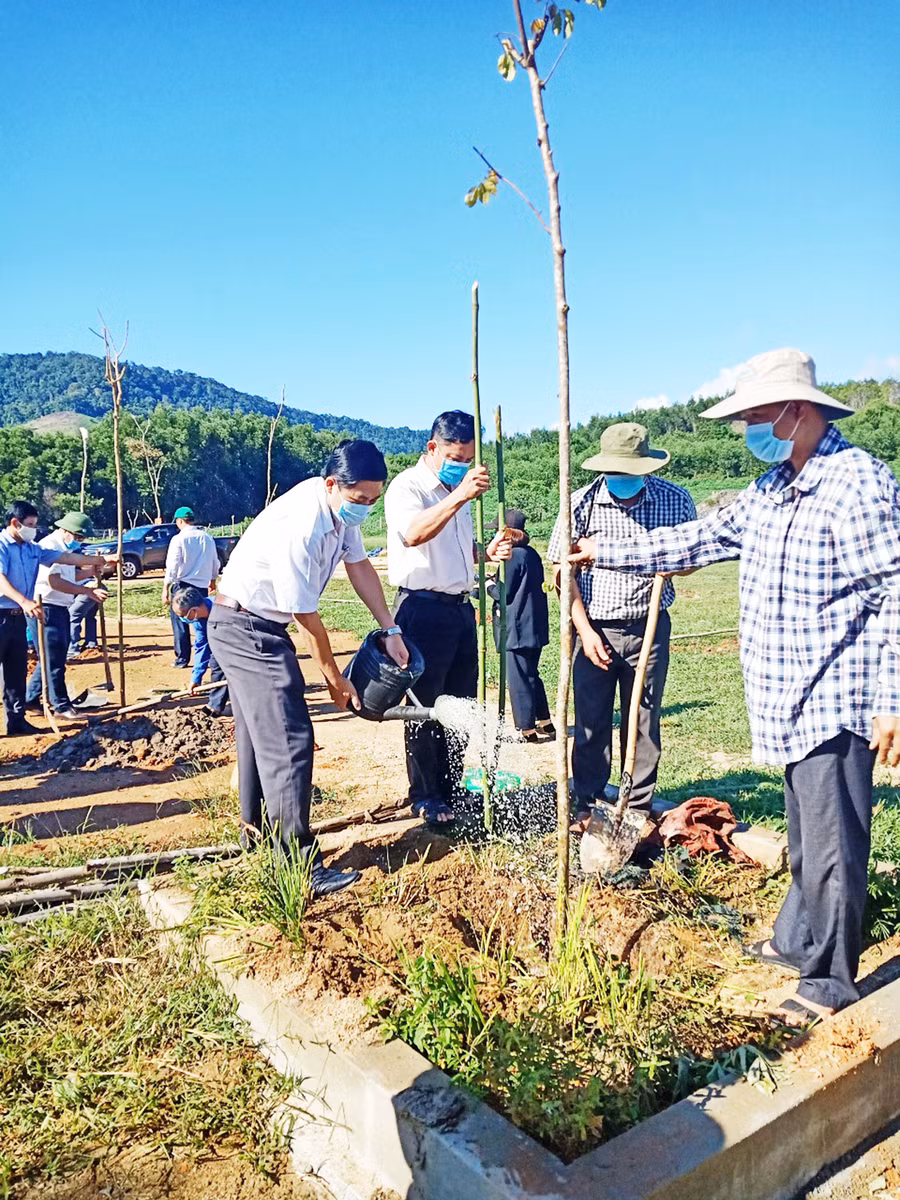  Quang cảnh buổi trồng cây. Ảnh: Minh Ngân