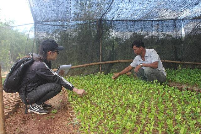 Lão nông đang từng bước xây dựng Kon Gang thành vùng trồng trái cây an toàn và sạch.  Lão nông đang từng bước xây dựng Kon Gang thành vùng trồng trái cây an toàn và sạch.