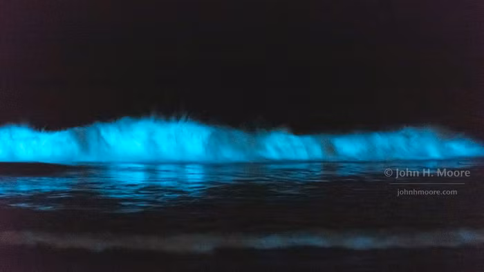 Ảnh: JOHN H. MOORE/TWITTER