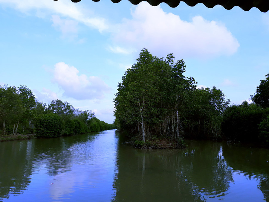 Cuối cùng cũng đã vào đến khu 3 Sú giữa rừng đước ngút ngàn