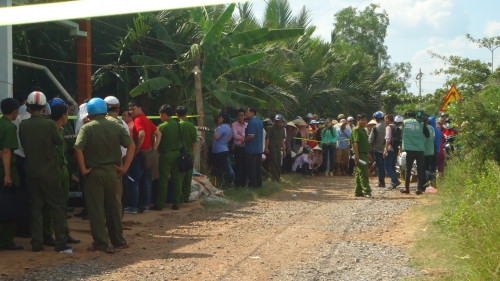 Ảnh minh họa Ảnh minh họa