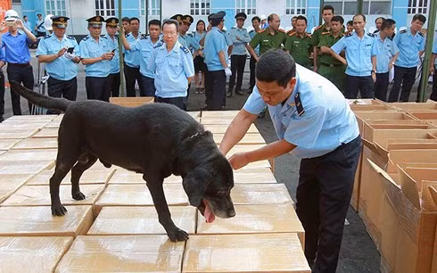 Lực lượng chức năng sử dụng cho nghiệp vụ để kiểm tra lô hàng.