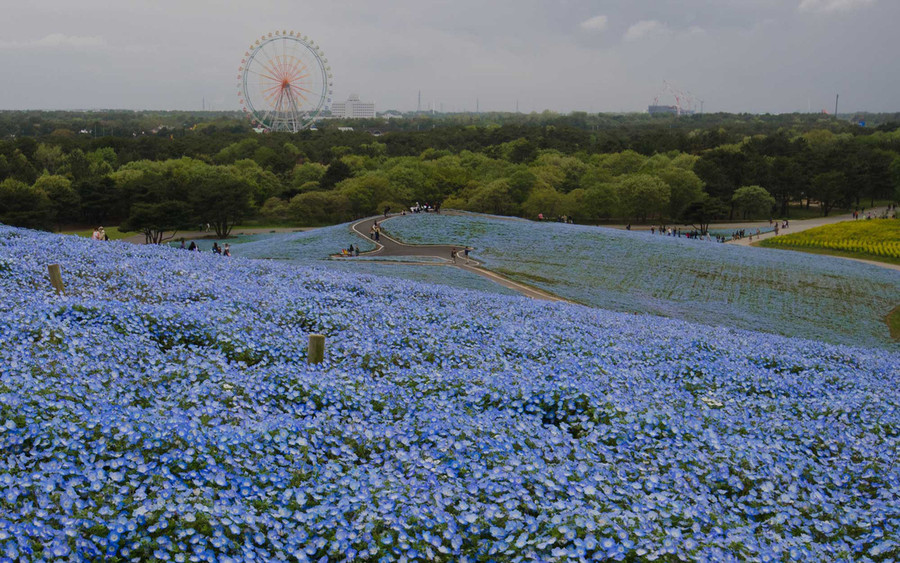 Ảnh: Travel and Leisure/Getty