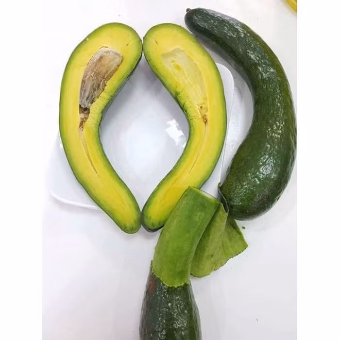  Khi chín, bơ 034 có phần cơm màu vàng bắt mắt, hạt rất nhỏ, độ dẻo cao nên được thị trường ưa chuộng. Ảnh: I.T