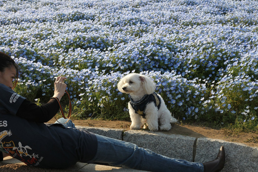  Ảnh: Lonely Planet/Getty