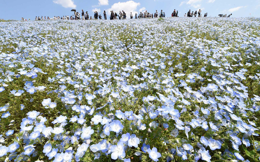 Ảnh: Travel and Leisure/Getty