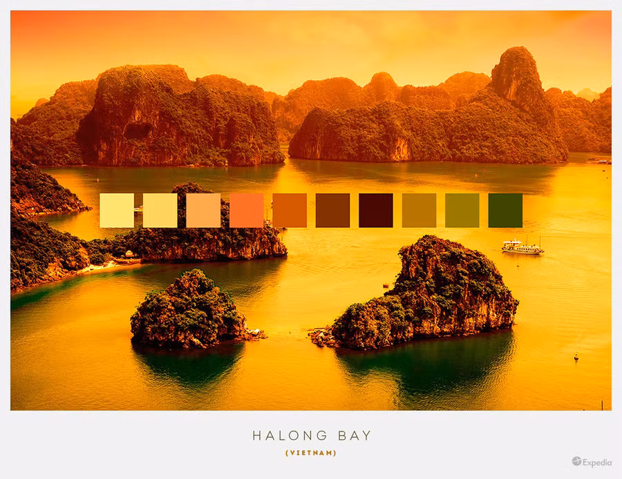  Ảnh: Expedia