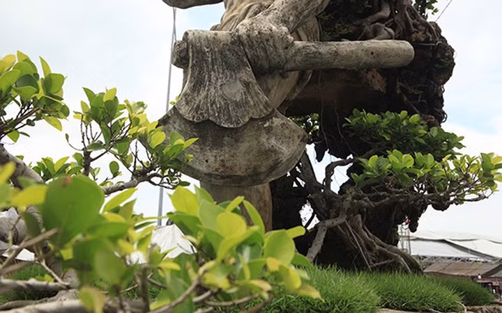 Từ chính câu chuyện của cuộc đời mình, cách đây 20 năm, ông Thạo và vợ đã quyết định làm tác phẩm Thạch Sanh với kết cấu hình tượng một người đàn ông khỏe mạnh, lực lưỡng, mình trần, đóng khố, tay mang rìu, vai địu một cây si đá, đôi mắt sáng ngời, chân cứng đá mềm, khuôn mặt vui tươi…