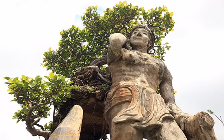  Ông Thạo kể, thời trẻ ông nếm đủ ngọt, bùi, cay, đắng. Cuối cùng, ông cũng gặt hái được những thành quả, có của ăn của để, có được thành công trong sự nghiệp…
