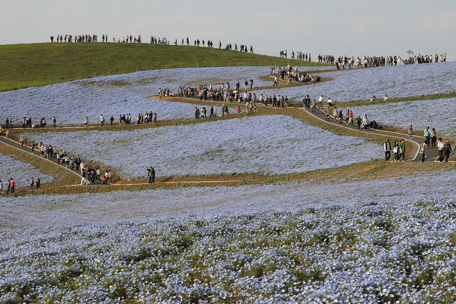  Ảnh: Lonely Planet/Getty