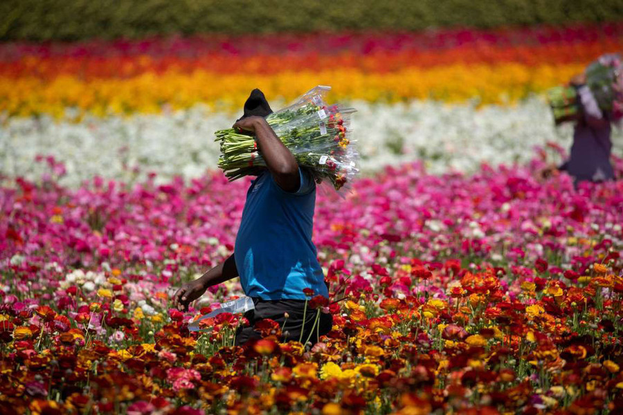  Ảnh: Reuters/Mike Blake