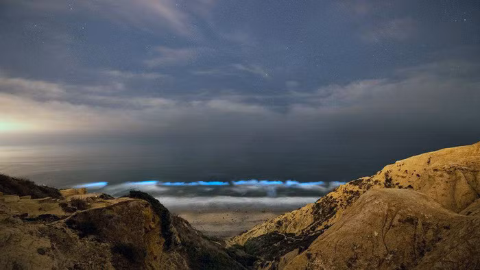  Ảnh: JACK FUSCO/BBC