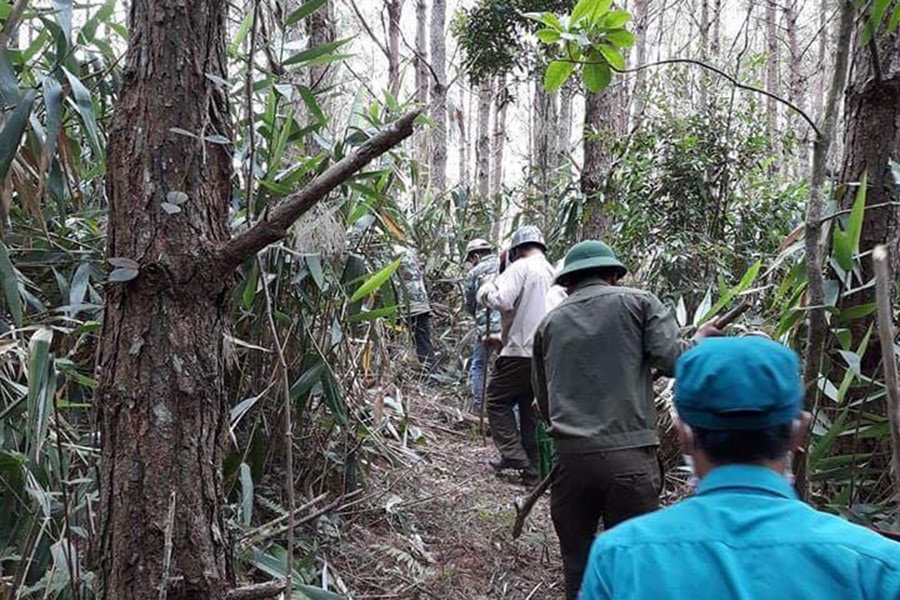 Cán bộ và lực lượng bảo về rừng của Ban Quản lý Rừng phòng hộ Bắc An Khê chủ động phát dọn thực bì trong mùa khô. Ảnh: N.M