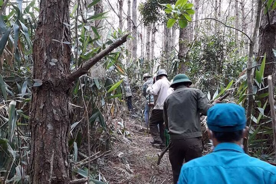 Cán bộ và lực lượng bảo về rừng của Ban Quản lý Rừng phòng hộ Bắc An Khê chủ động phát dọn thực bì trong mùa khô. Ảnh: N.M