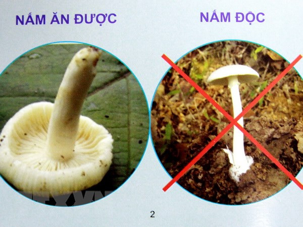 Ảnh minh họa Ảnh minh họa