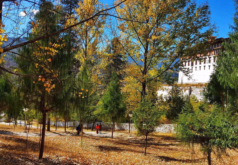 Mùa thu ở Bhutan - Ảnh: Hải Piano