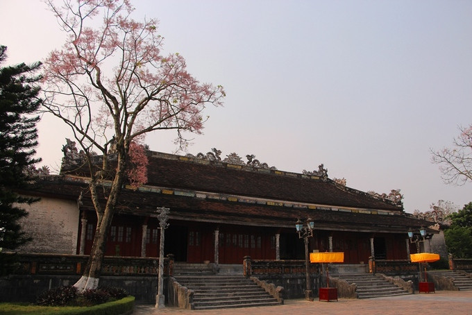  Hai cây ngô đồng được trồng hai bên góc phía sau điện Thái Hòa, nơi vua triều Nguyễn xưa kia ngự triều.