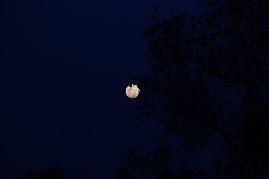  May mắn khi về mũi Cà Mau trùng vào ngày trăng sáng, “trăng thanh gió mát” thế này thì còn gì bằng.