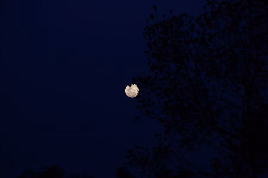  May mắn khi về mũi Cà Mau trùng vào ngày trăng sáng, “trăng thanh gió mát” thế này thì còn gì bằng.