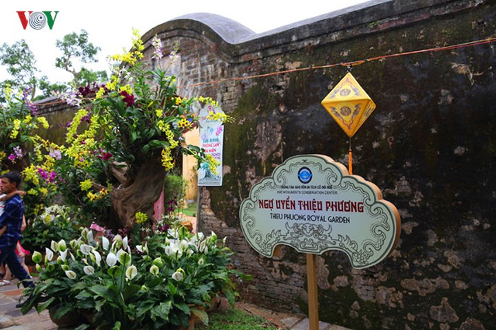 Ngày 27-4, trong khuôn khổ các hoạt động Festival Huế 2018, Trung tâm Bảo tồn di tích cố đô Huế tổ chức triển lãm “Cây cảnh và phong lan ba miền” tại vườn Cơ Hạ và vườn Thiệu Phương, thuộc Đại nội Huế.