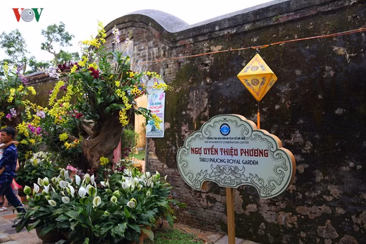 Ngày 27-4, trong khuôn khổ các hoạt động Festival Huế 2018, Trung tâm Bảo tồn di tích cố đô Huế tổ chức triển lãm “Cây cảnh và phong lan ba miền” tại vườn Cơ Hạ và vườn Thiệu Phương, thuộc Đại nội Huế.