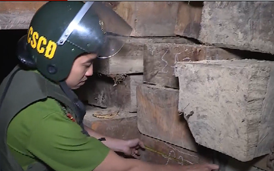 Vụ phá rừng ở Đắc Lắc vừa bị phát hiện 