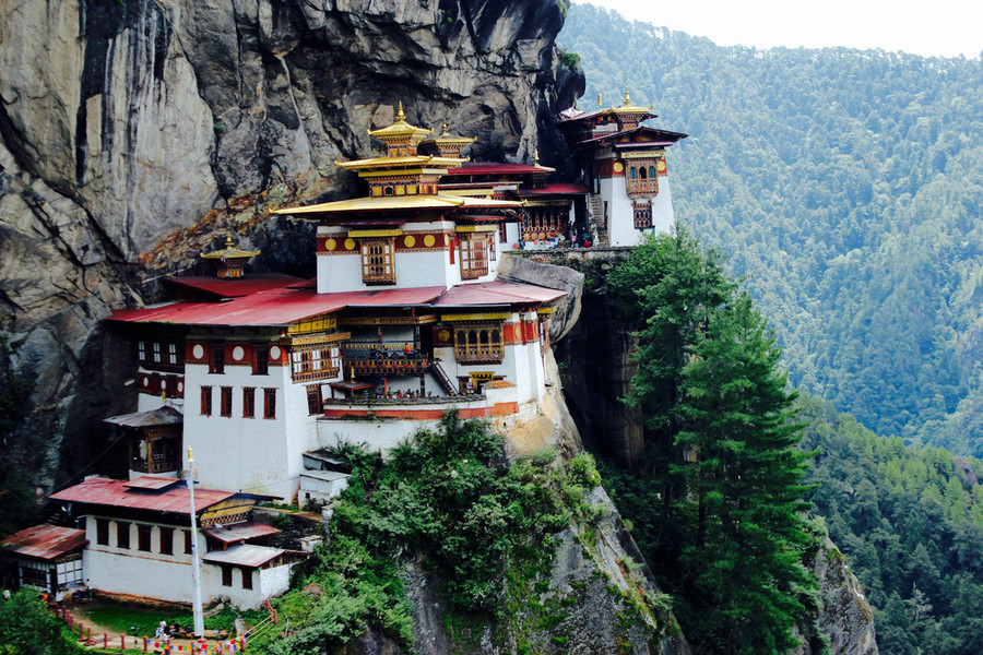 Tiger's nest - Ảnh: Thái Minh Châu  Tiger's nest - Ảnh: Thái Minh Châu