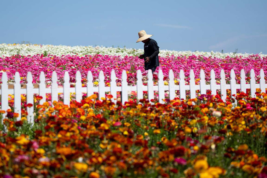 Ảnh: Reuters/Mike Blake