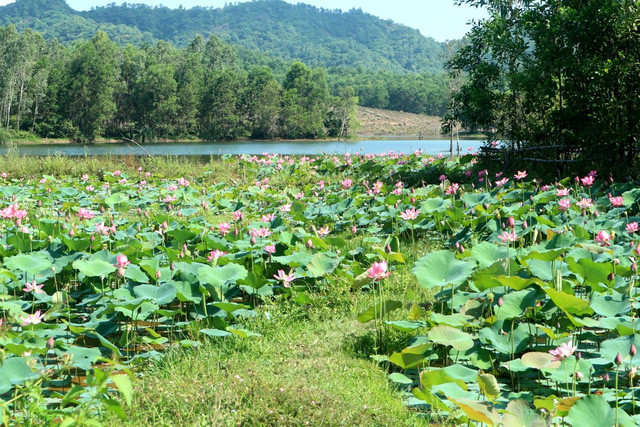 Đây là một địa điểm “sống ảo” tuyệt vời cho các bạn trẻ, cũng là chốn “trốn nắng” lý tưởng Đây là một địa điểm “sống ảo” tuyệt vời cho các bạn trẻ, cũng là chốn “trốn nắng” lý tưởng