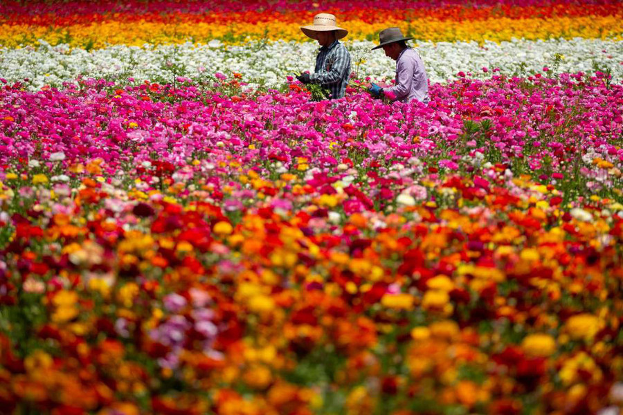 Ảnh: Reuters/Mike Blake