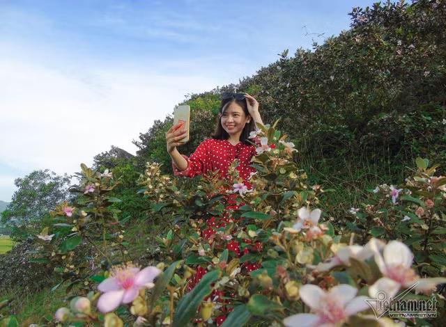  Tự sướng với hoa sim