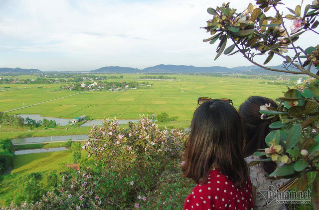 Vẻ đẹp của cánh đồng quê Nghệ An nhìn từ trên rú Nhón