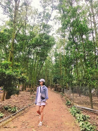 Khu đường rừng ngập cây xanh thơ mộng, phiêu lãng cũng khiến các bạn trẻ thích thú. Khu đường rừng ngập cây xanh thơ mộng, phiêu lãng cũng khiến các bạn trẻ thích thú.