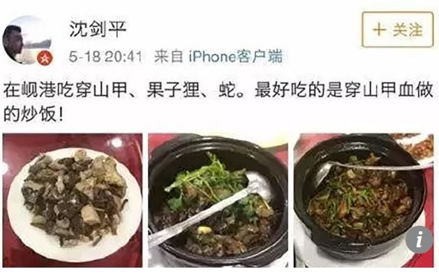 Các bức ảnh cho thấy món tê tê, cầy hương và rắn được ông Thẩm Kiếm Bình đăng lên Weibo - Ảnh chụp màn hình