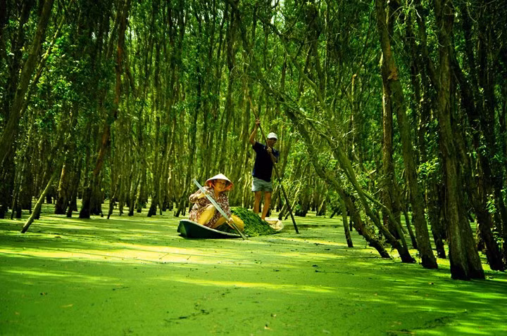  Rừng tràm Trà Sư, An Giang: Đi thuyền giữa những rừng tràm râm mát, lắng nghe tiếng chim hót và tận hưởng vẻ đẹp sông nước miền Tây sẽ khiến bạn quên đi nắng nóng và những âu lo, mệt nhọc hằng ngày.