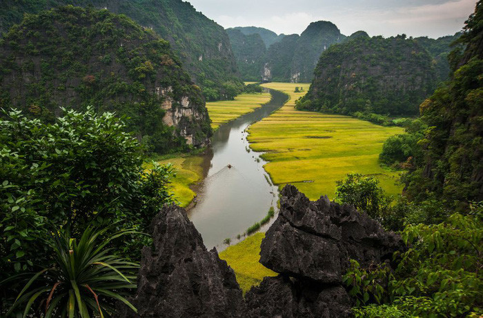  Ảnh: Linh TranAnh/Yourshot/National Geogrphic