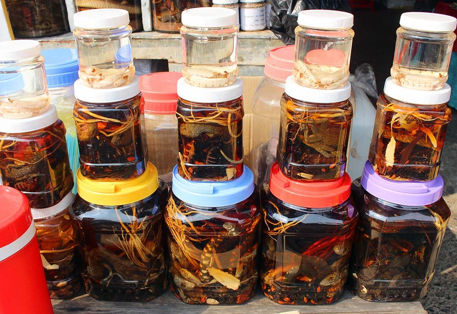 Những loại côn trùng, bò sát ngâm rượu được bày bán ở chợ Tịnh Biên