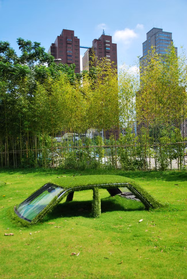 Chiếc ô tô này ở Đài Loan bị cỏ xanh bao phủ hoàn toàn.