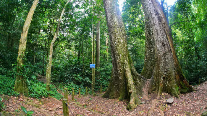 Ảnh: Vietnam/Moment Open/Getty Images