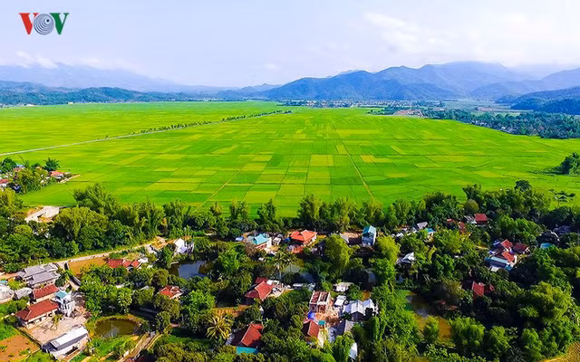 …và cánh đồng Mường Thanh trù phú.