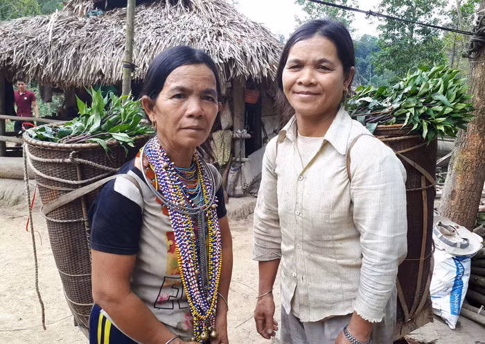 Những phụ nữ Bh’Noong gùi rau về bản bán cho thương lái. Những phụ nữ Bh’Noong gùi rau về bản bán cho thương lái.