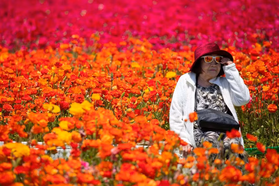 Ảnh: Reuters/Mike Blake