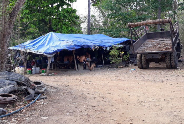 Lán trại của trùm gỗ lậu Phượng "râu" dựng gần đồn biên phòng ở Đak Nông. Ảnh: Trần Lộc. Lán trại của trùm gỗ lậu Phương