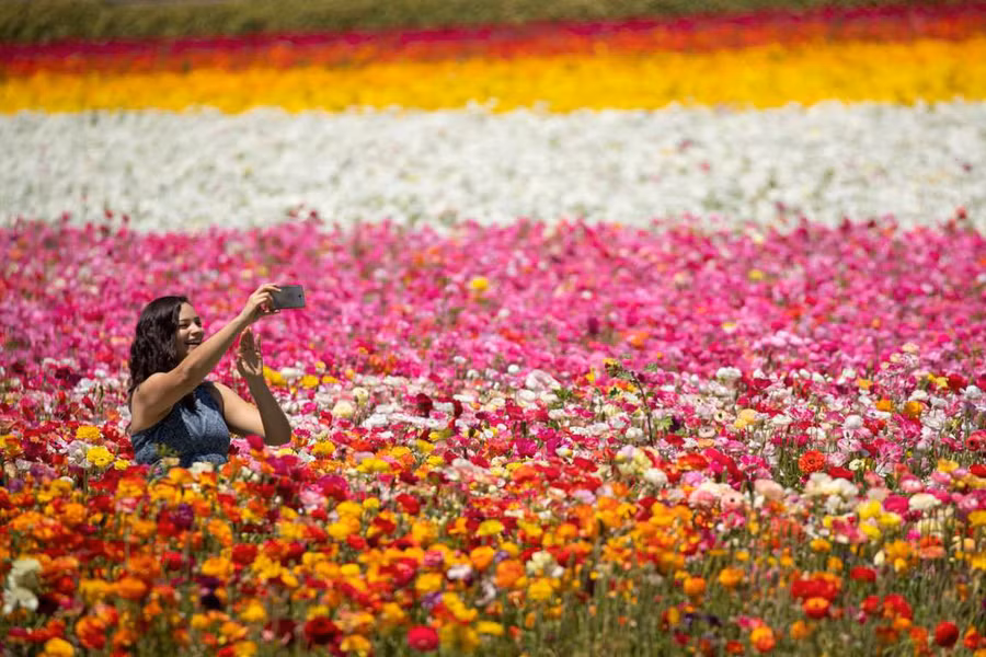  Ảnh: Reuters/Mike Blake