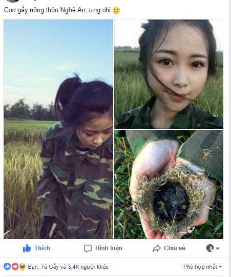Khoảnh khắc nữ sinh Nghệ An gặt lúa ở ngoài ruộng 