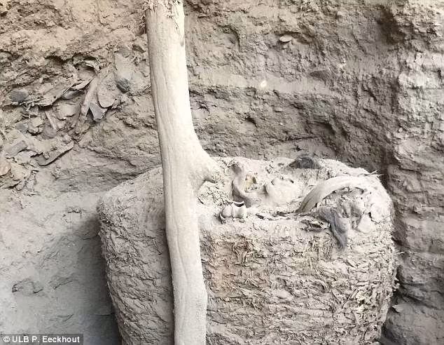 Xác ướp bọc trong quan tài bằng vải bông được bảo quản tốt đến khó tin