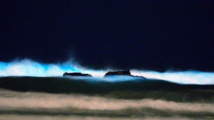  Ảnh: ANTONELLA WILBY/BBC