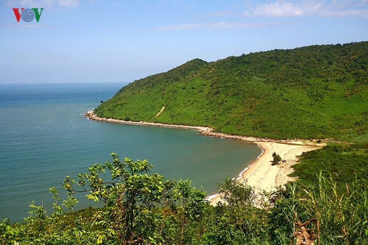 Có những đoạn tàu đi sát ra biển, ở trên tàu có thể nhìn thấy biển ngay phía dưới