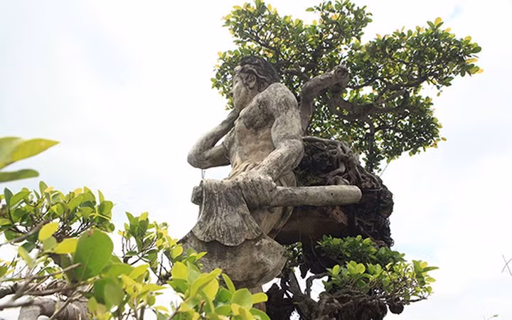 Dưới bàn tay tài hoa của ông Nguyễn Văn Thạo, cây si đá già với những đường chạy mềm dẻo nghệ thuật như sợi tơ hồng kết nối duyên phận từ quá khứ, hiện tại đến tương lai.